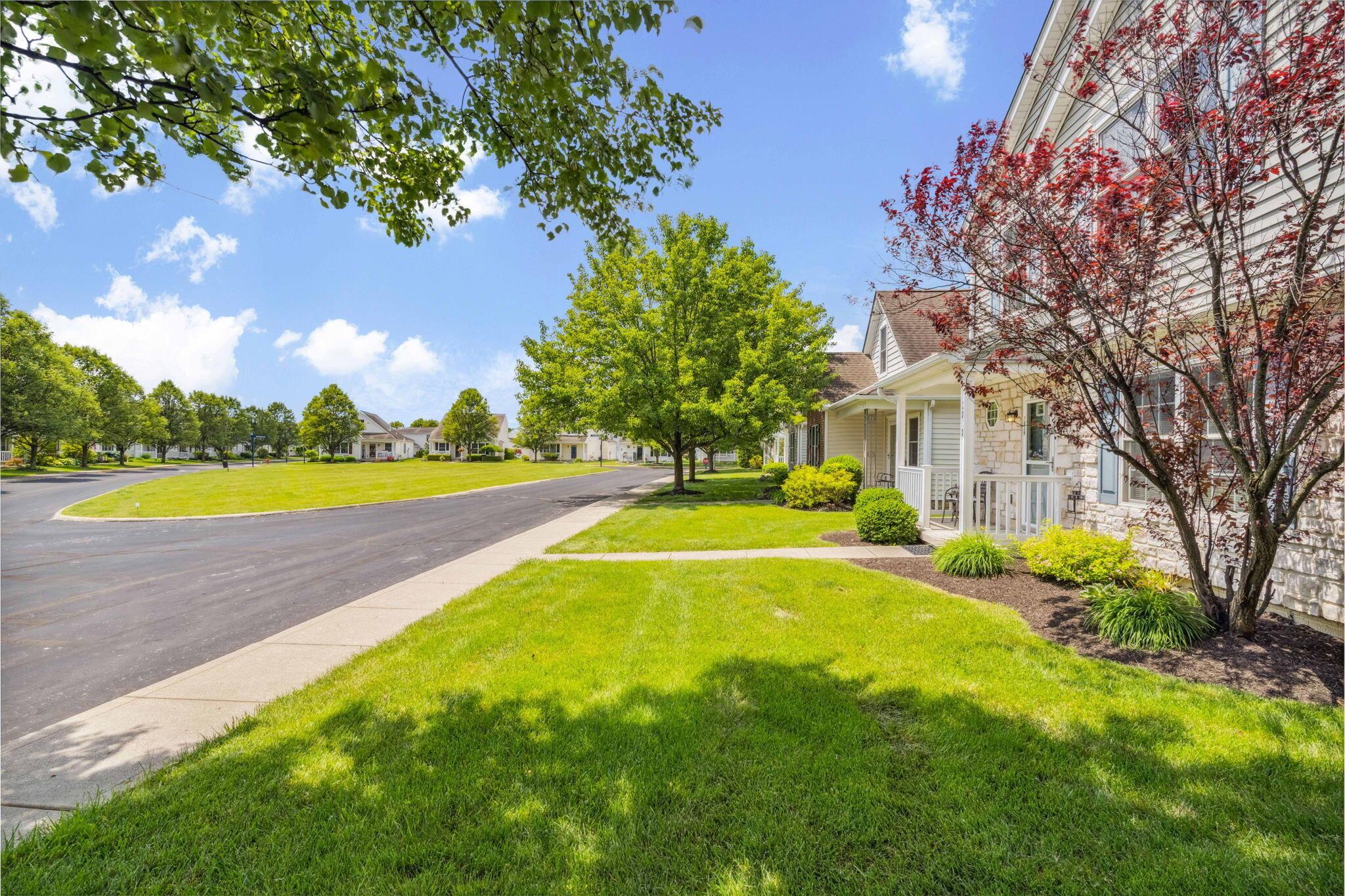 7818 Candytuft Street, 332