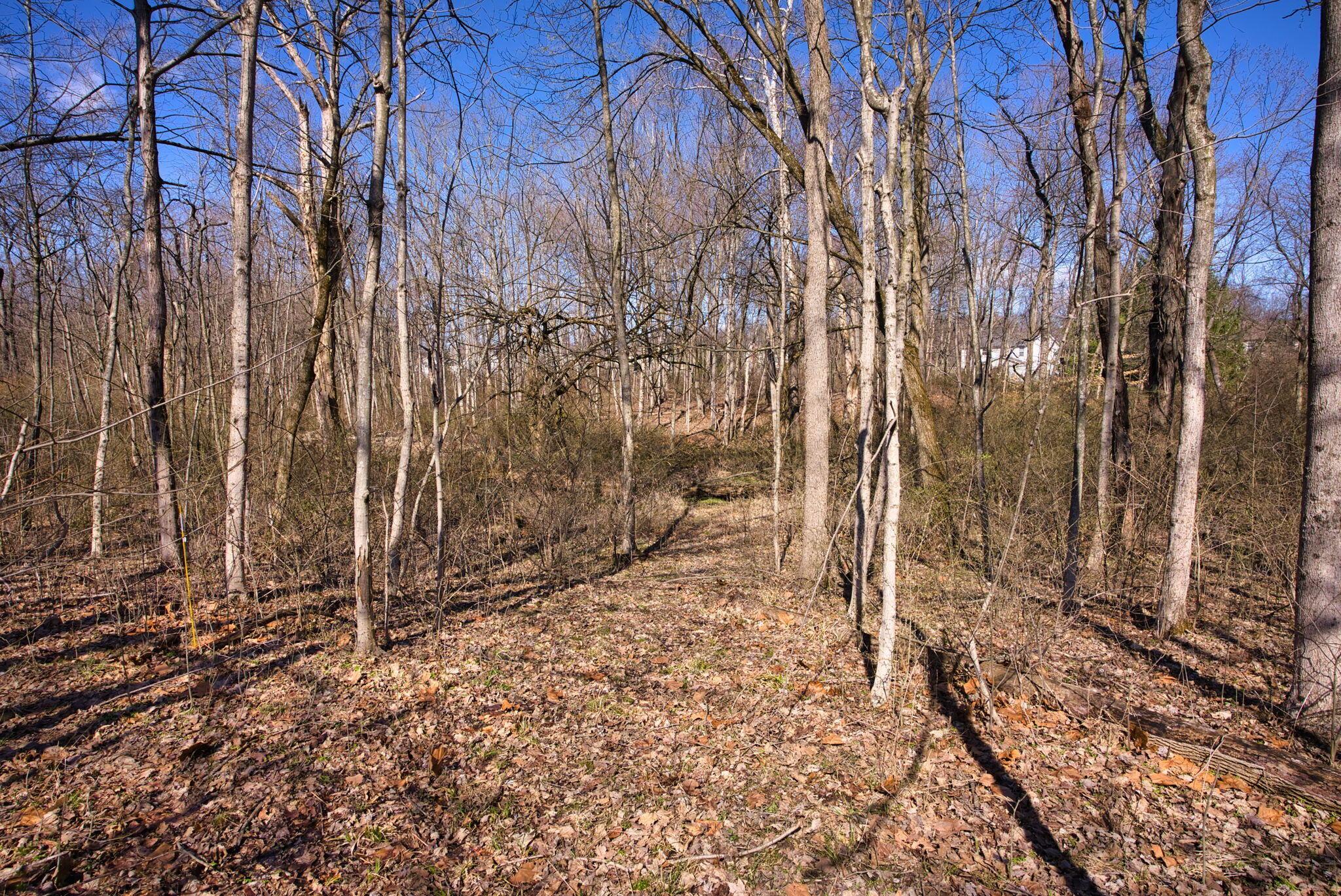 2952 Colts Neck Road