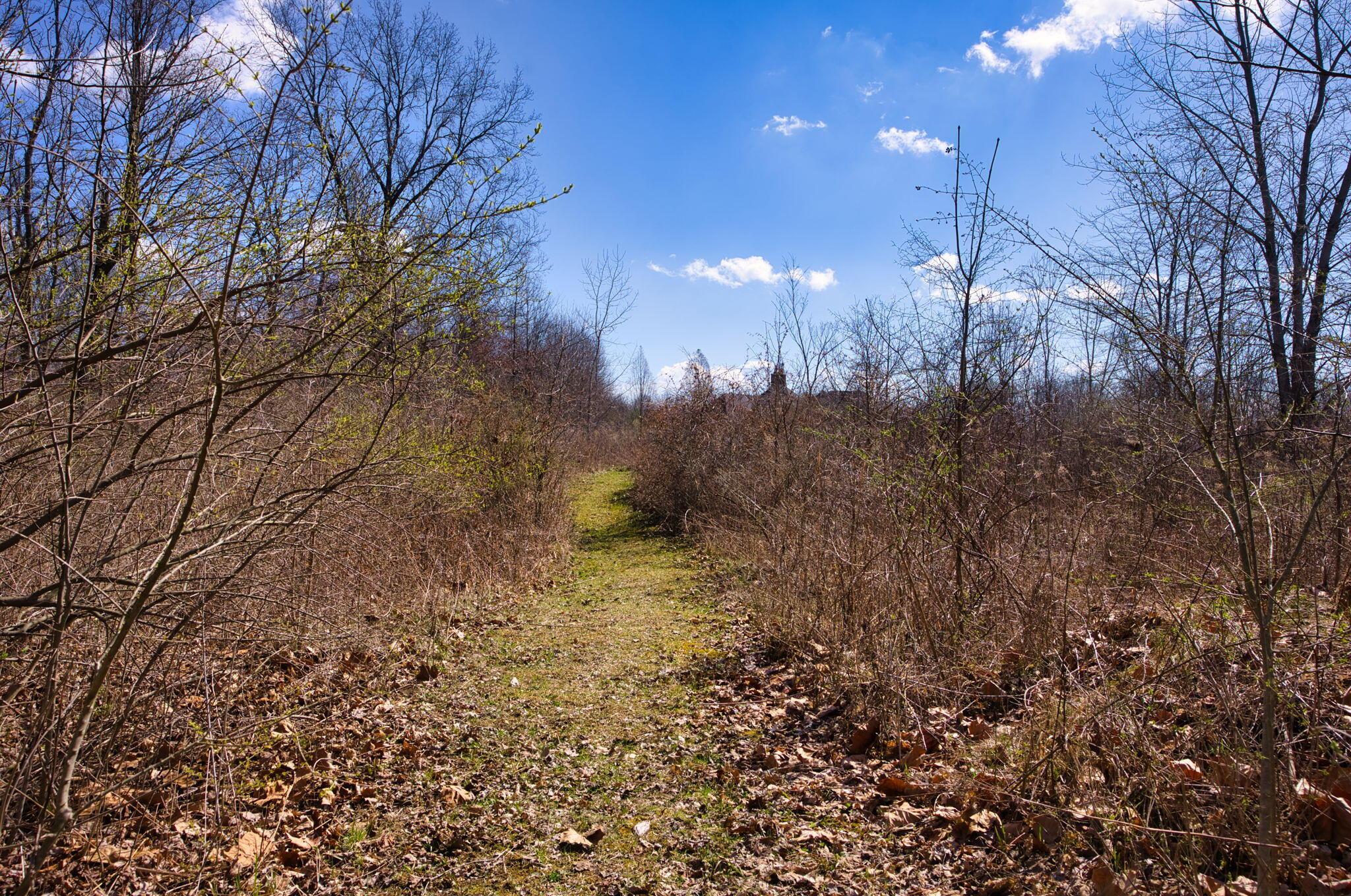 2952 Colts Neck Road