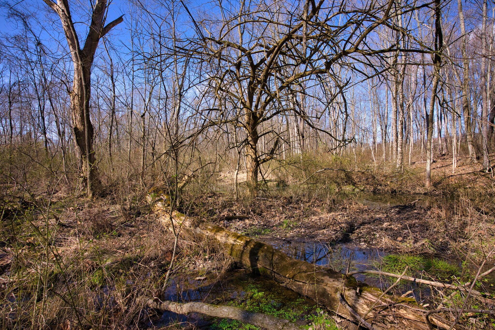 2952 Colts Neck Road