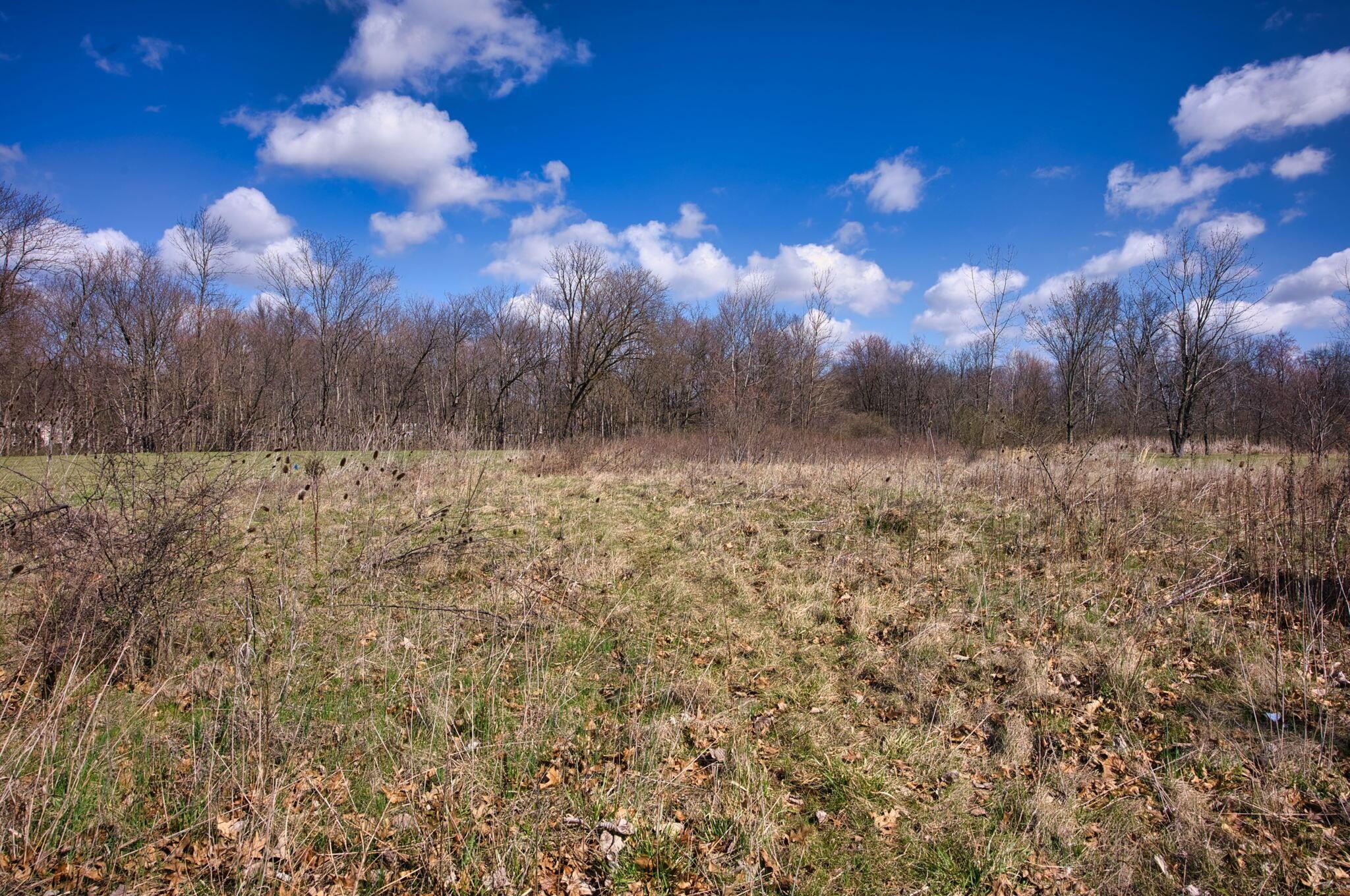 2952 Colts Neck Road