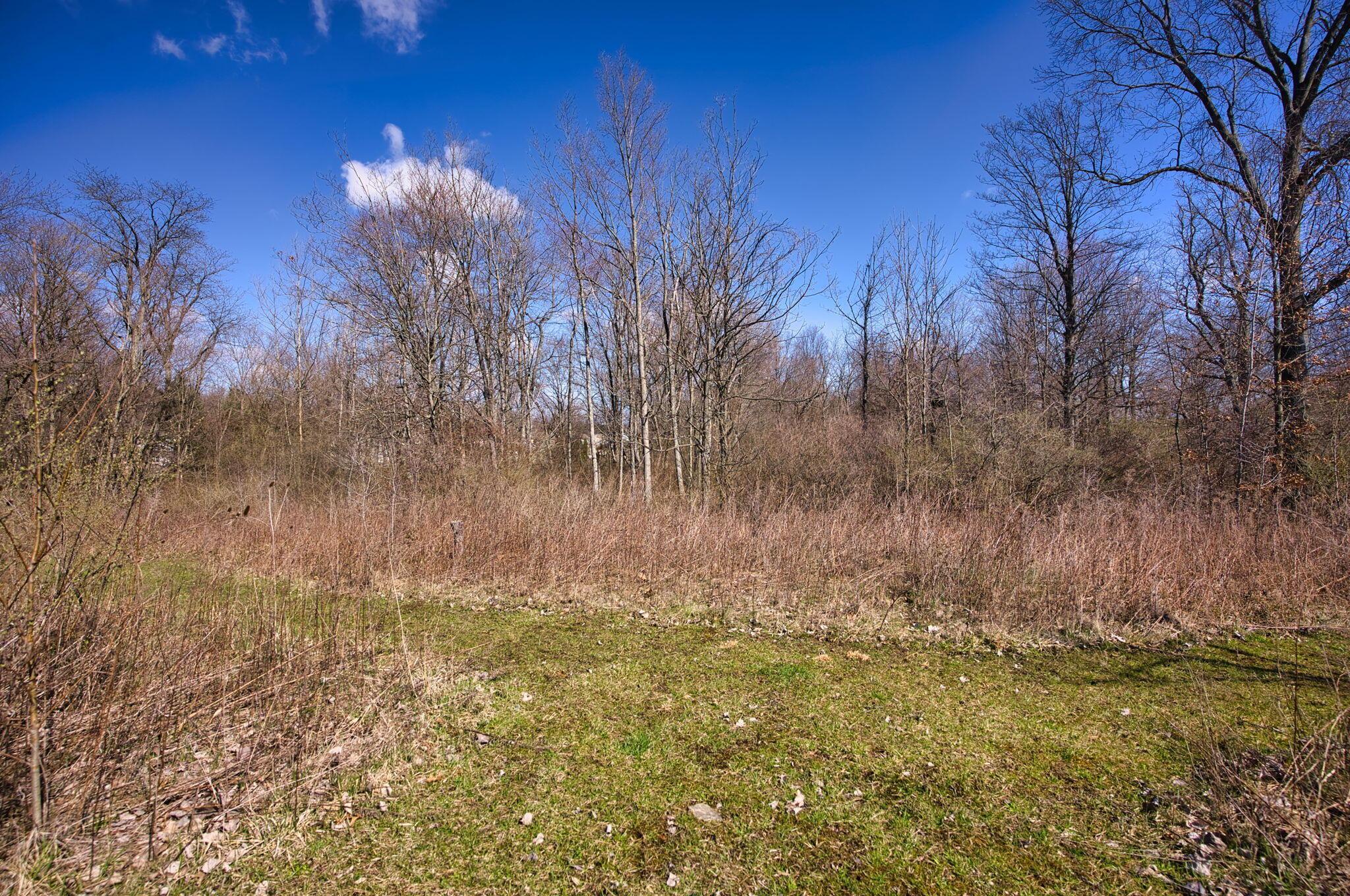 2952 Colts Neck Road