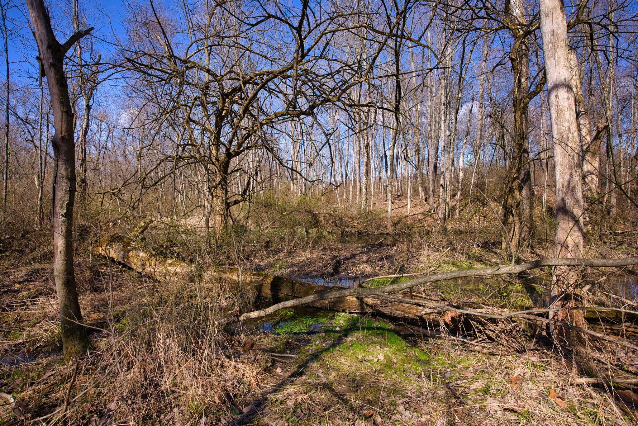 2952 Colts Neck Road