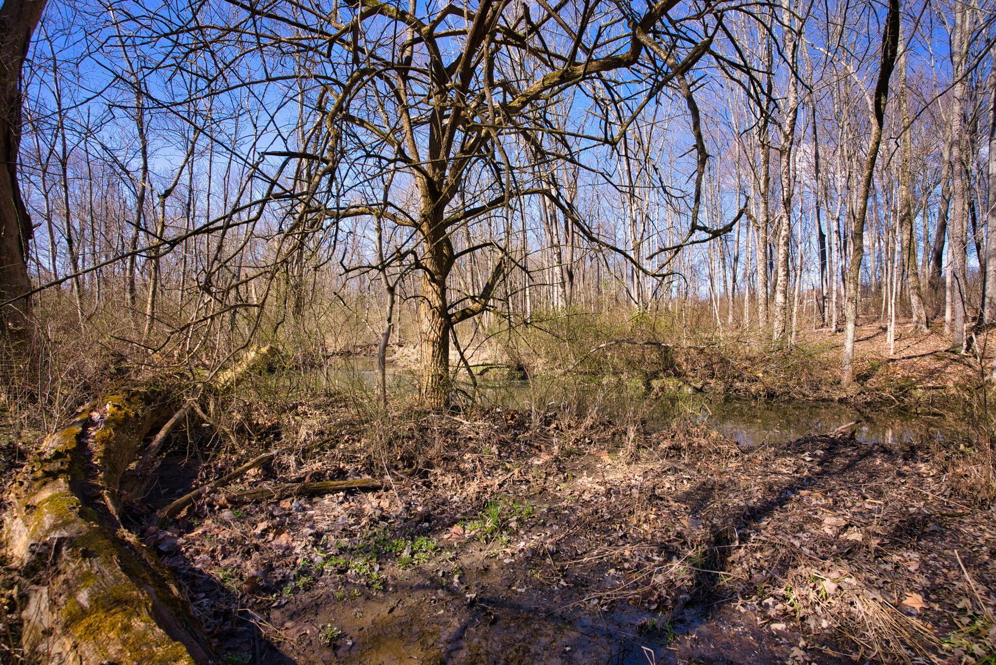 2952 Colts Neck Road