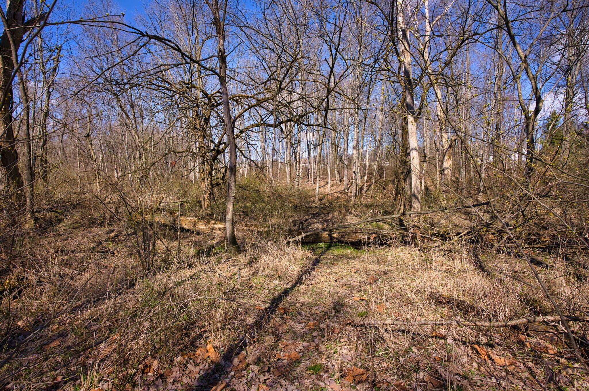 2952 Colts Neck Road