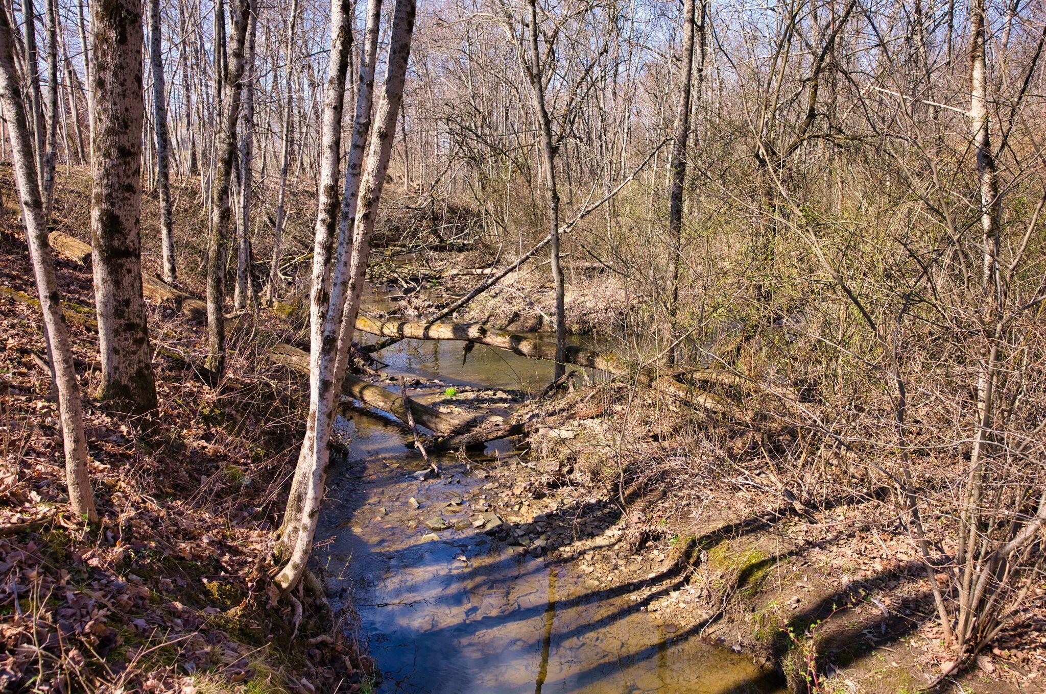 2952 Colts Neck Road