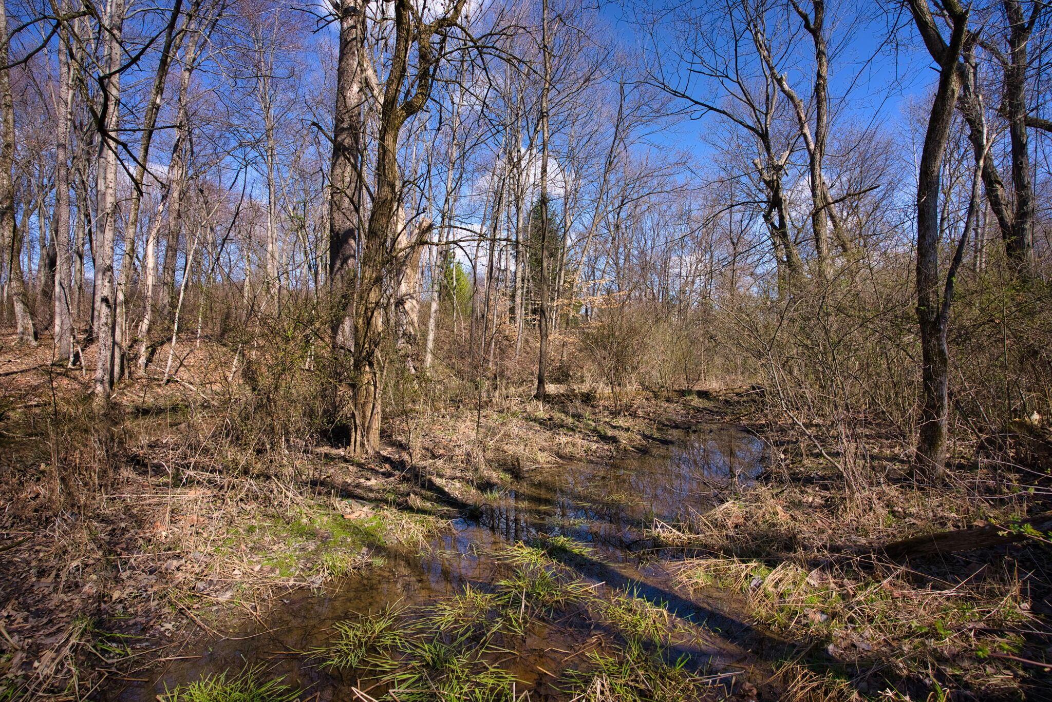 2952 Colts Neck Road