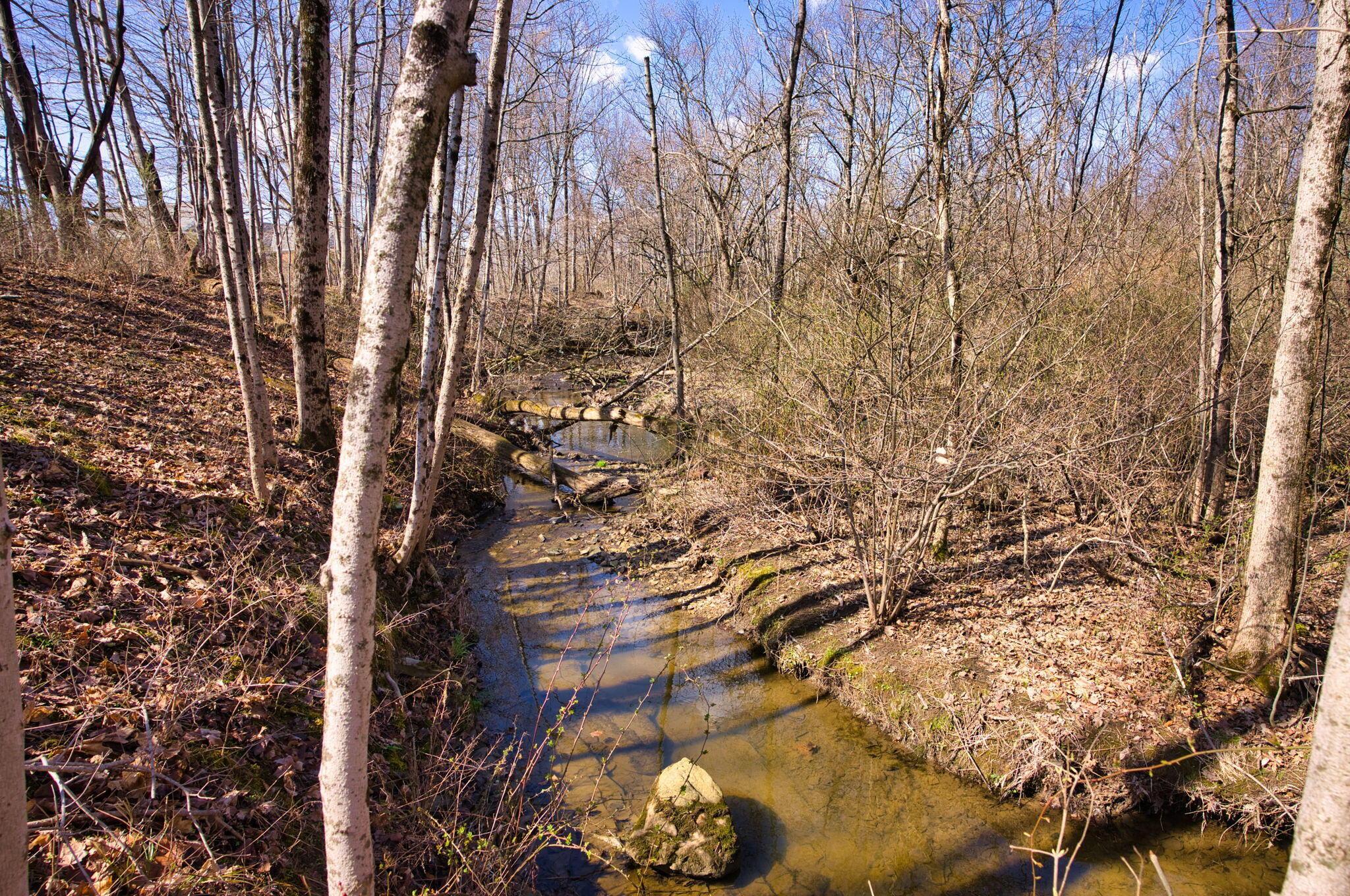 2952 Colts Neck Road