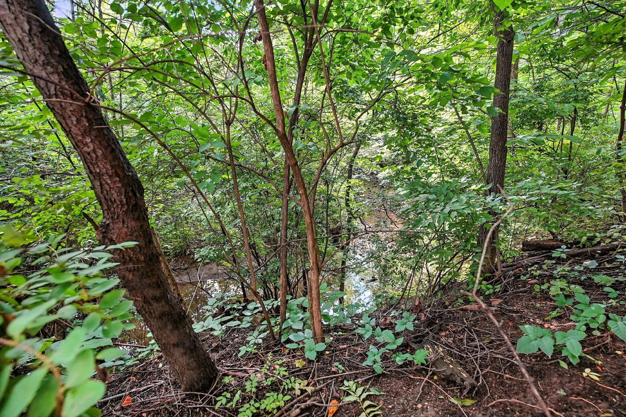 1223 Sanctuary Place