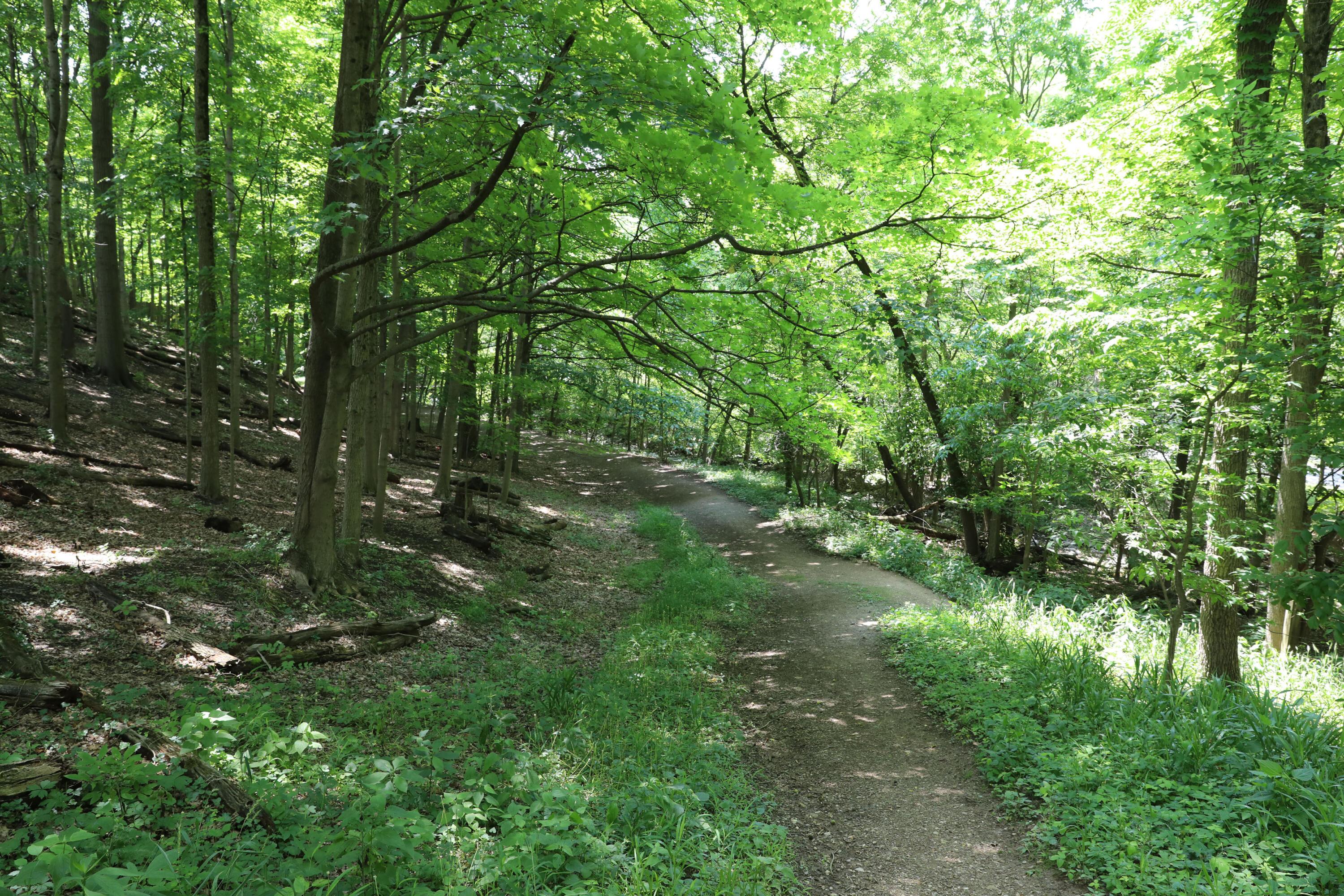 522 Meadoway Park