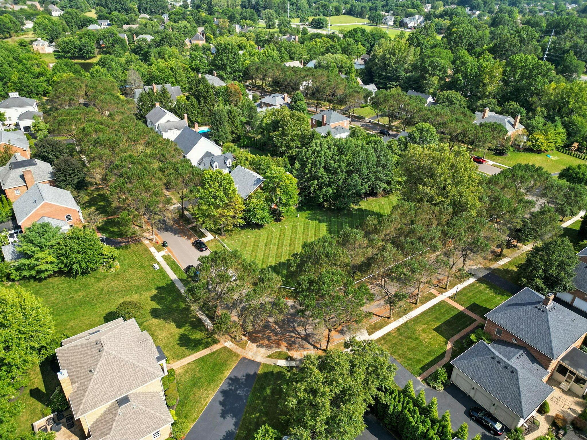 7288 Berkley Square N