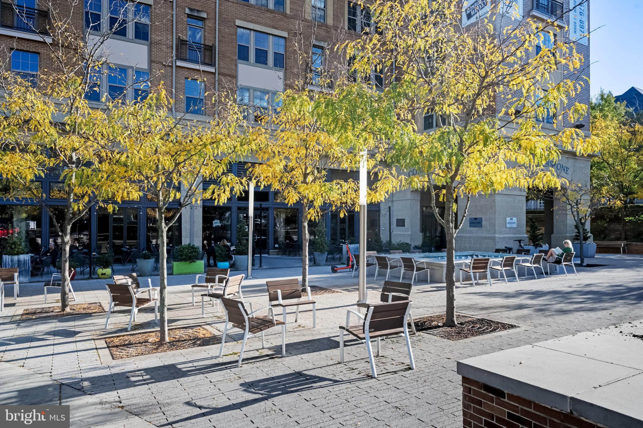 517 Montana Ave NE #6