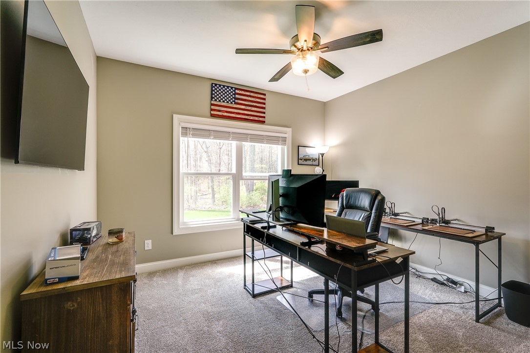 1050 Wayne Trail