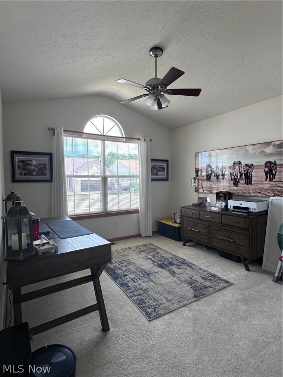 3313 Coopers Trail