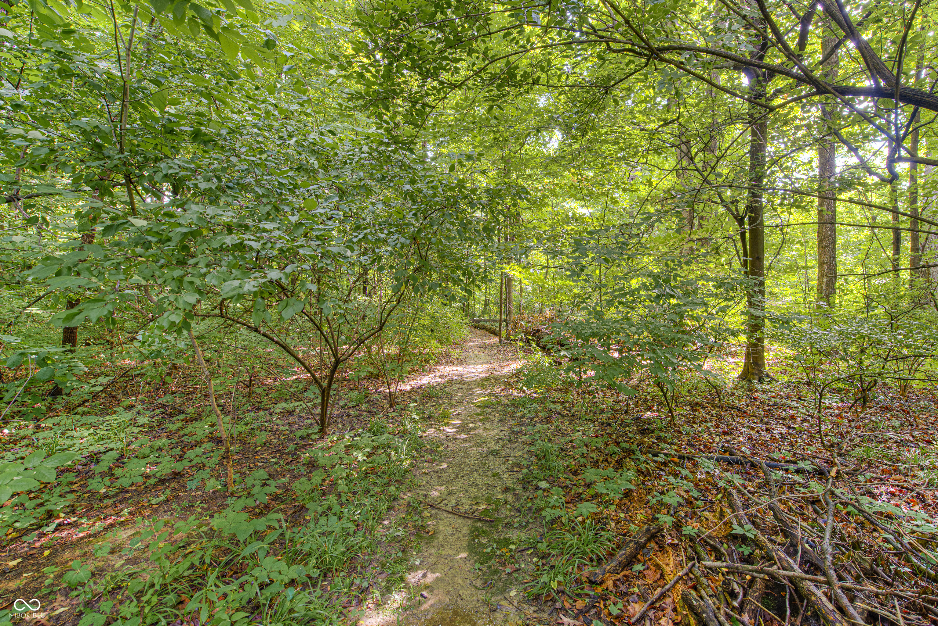3614 Crickwood Circle