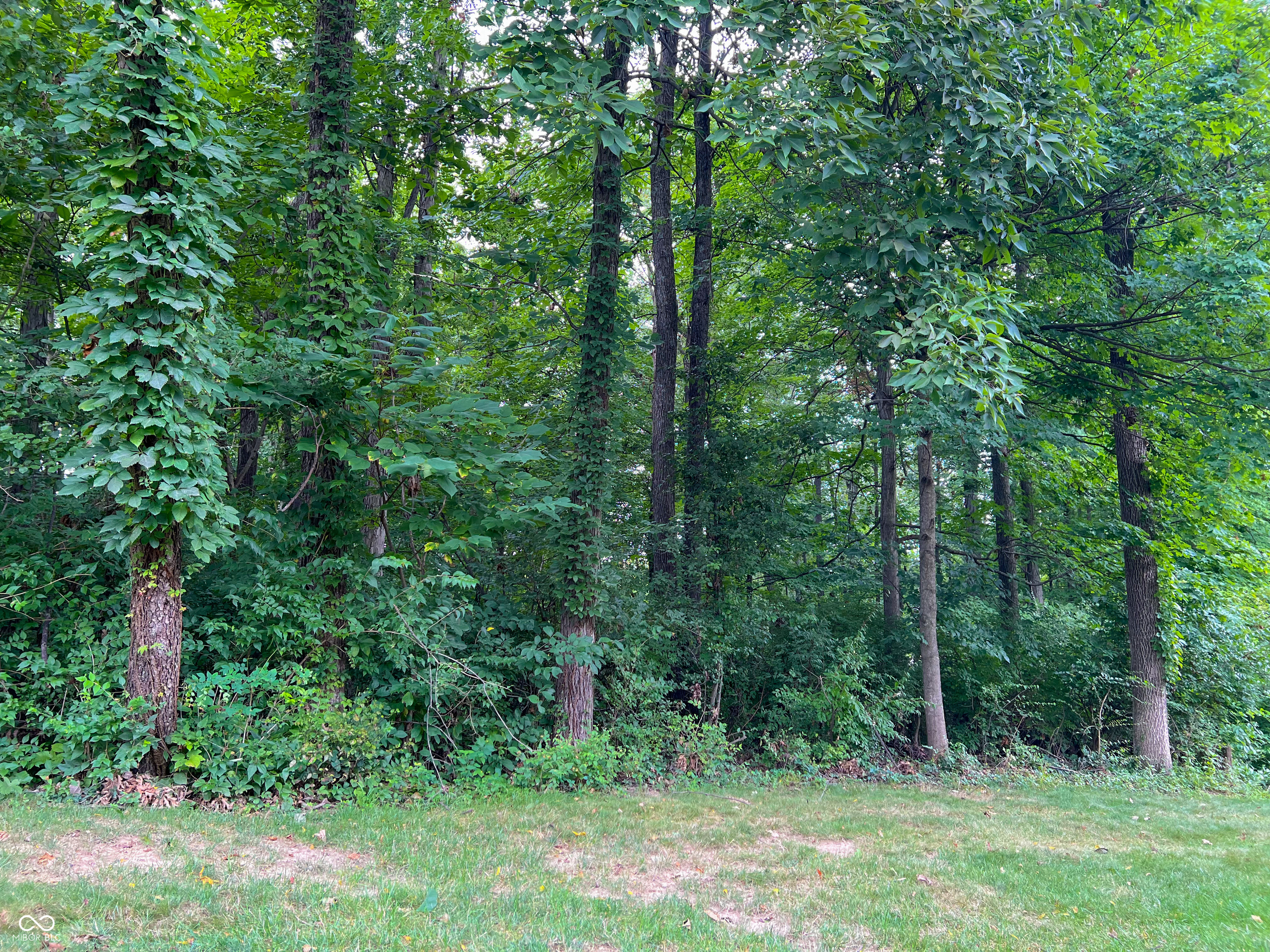 2050 W Arbor Ridge Way