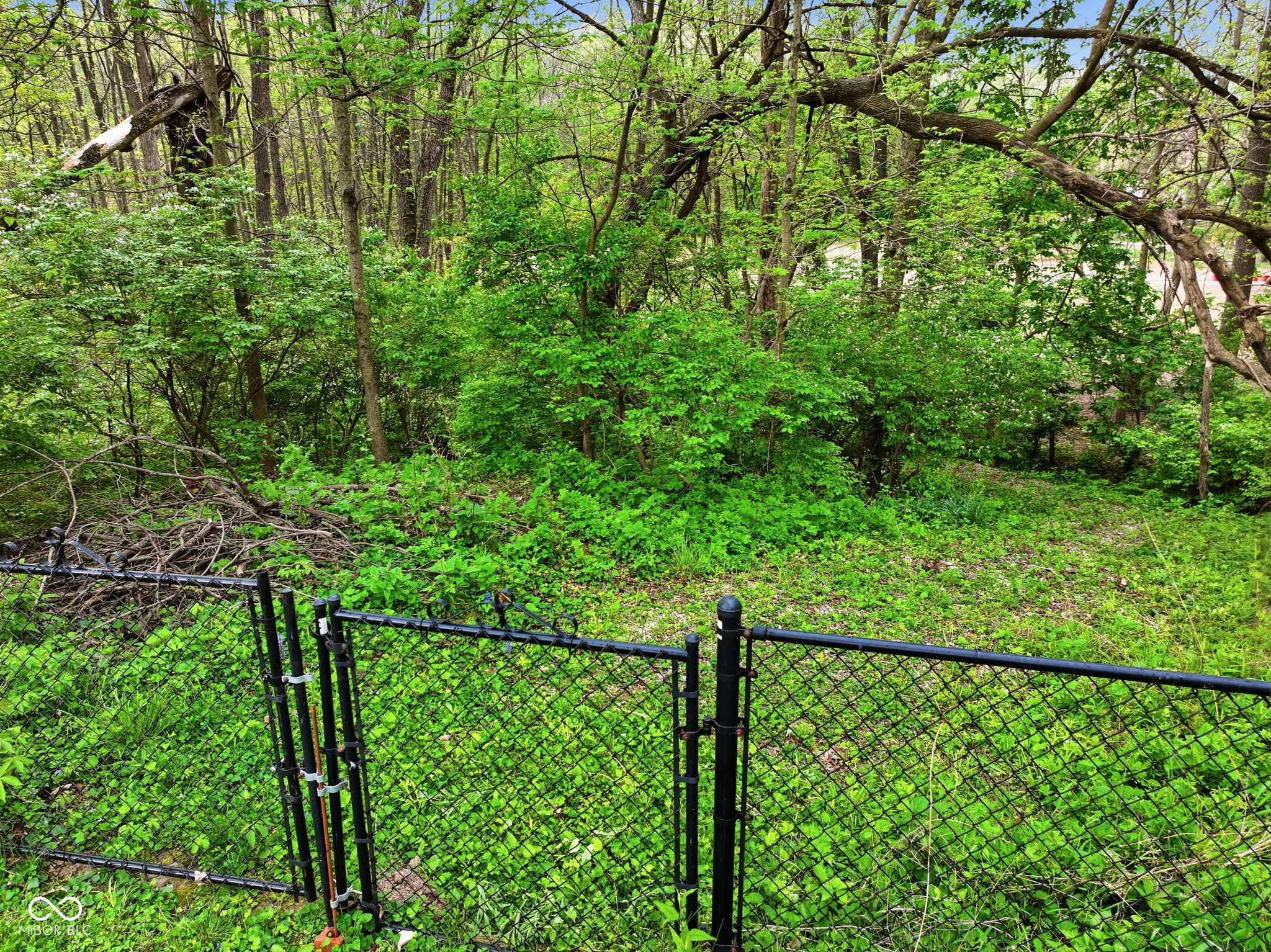 3358 Walnut Drive