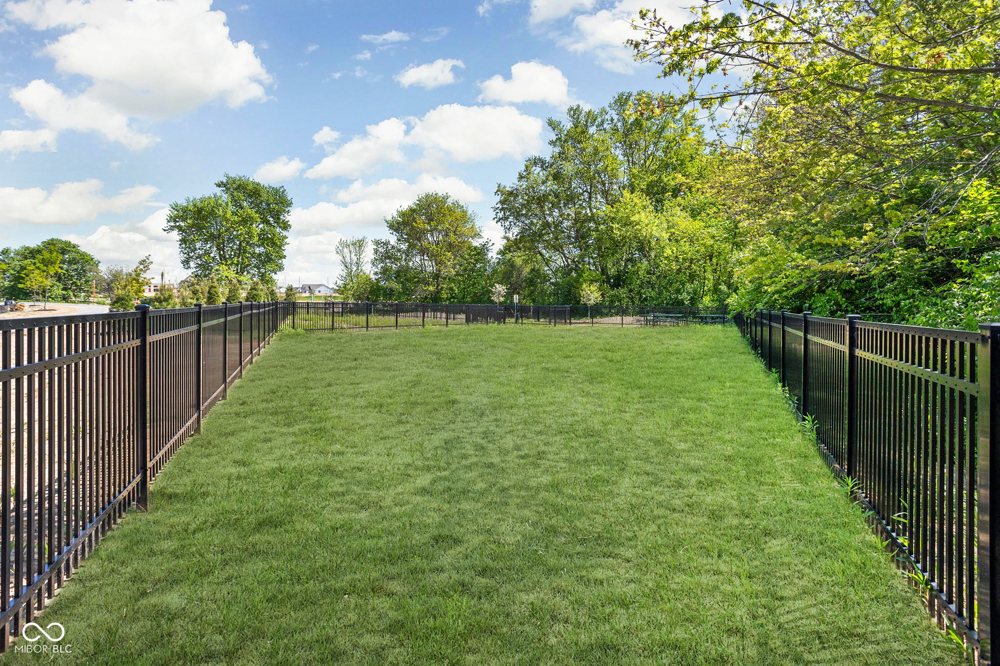 1668 Delmonte Rail Drive