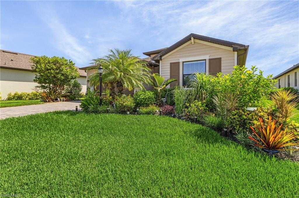 3372 Brozas CT