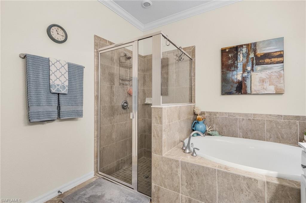 3372 Brozas CT