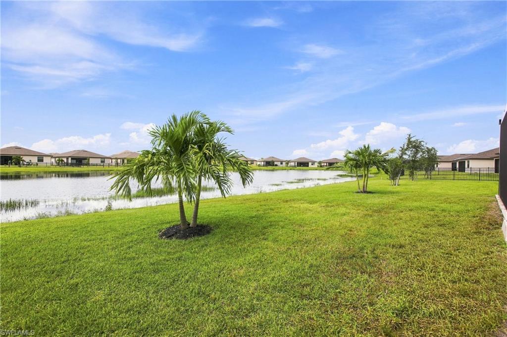 Grassy backyard with palm trees overlooking a pond and neighboring homes.