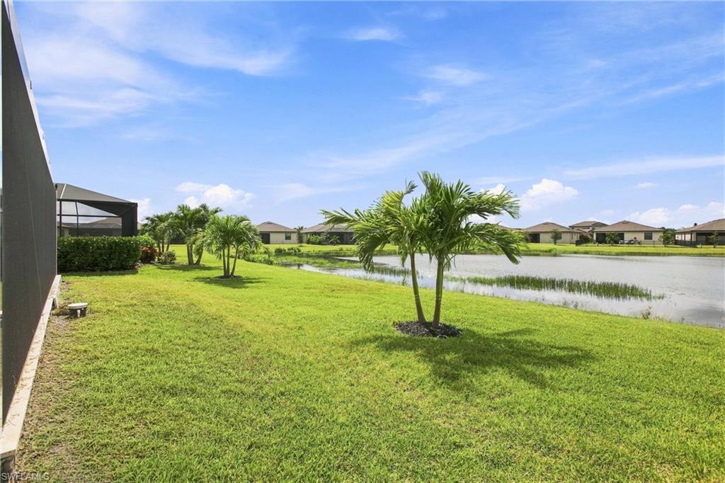 Grassy backyard with palm trees beside a pond, viewed from the screened lanai.