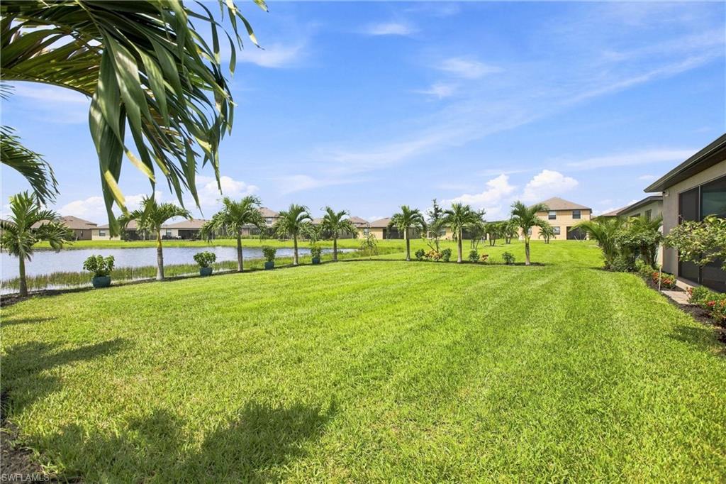 Backyard lawn slopes toward a pond, with palm trees and neighboring homes across the water.