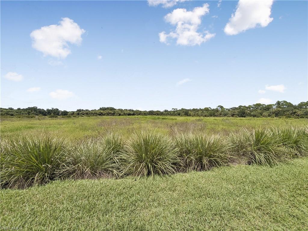 Grassy vacant property bordering an open marsh, with tall foreground grasses and a distant tree line.