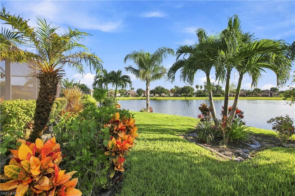 Landscaped lakeside backyard with palm trees, flowering shrubs, and a grassy lawn.