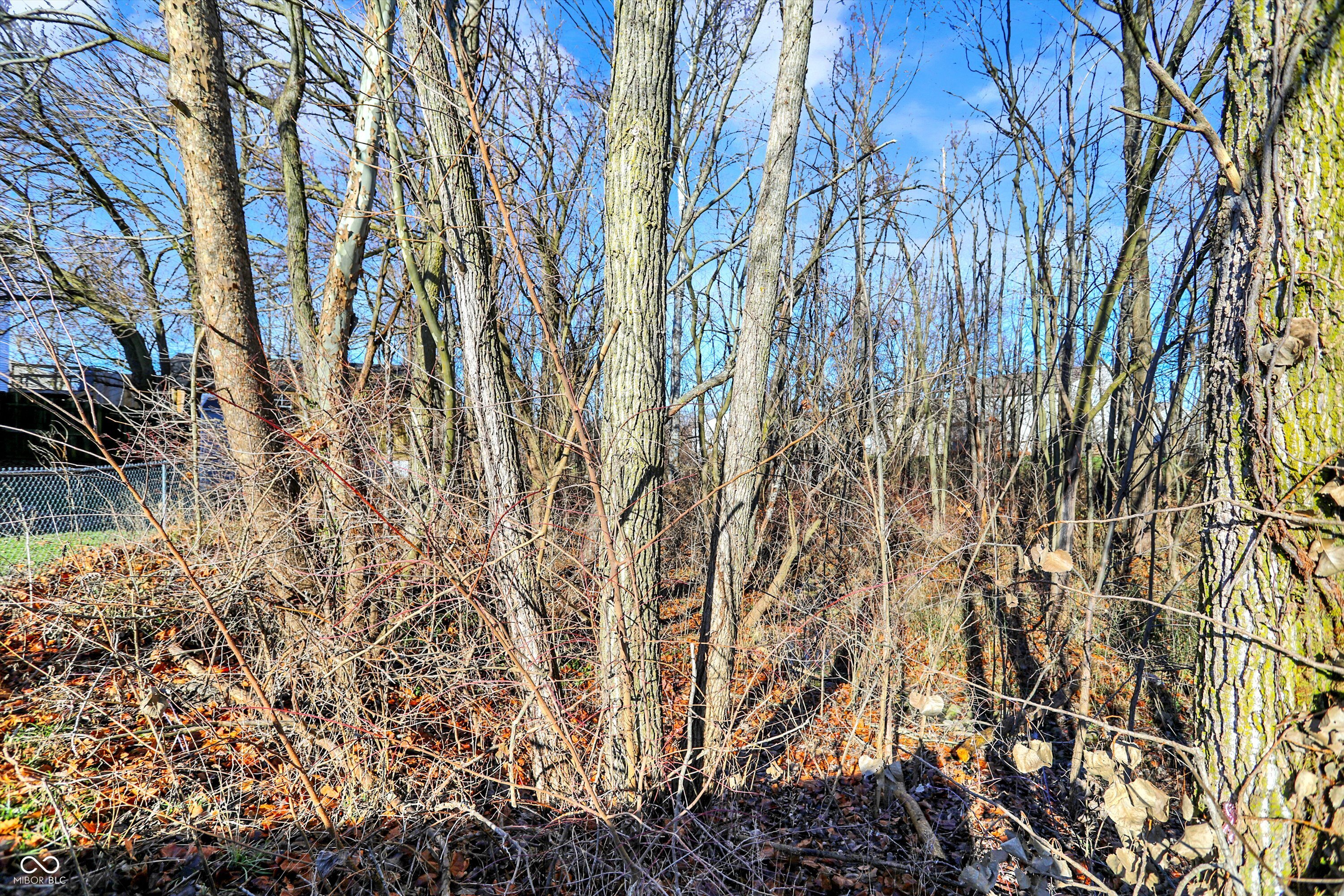 600 Brookline Drive
