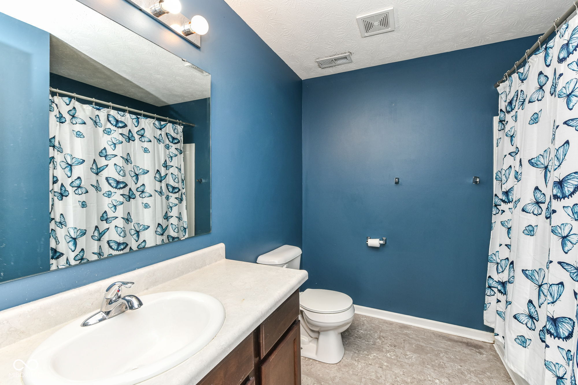 10833 Hunter Lake Lane
