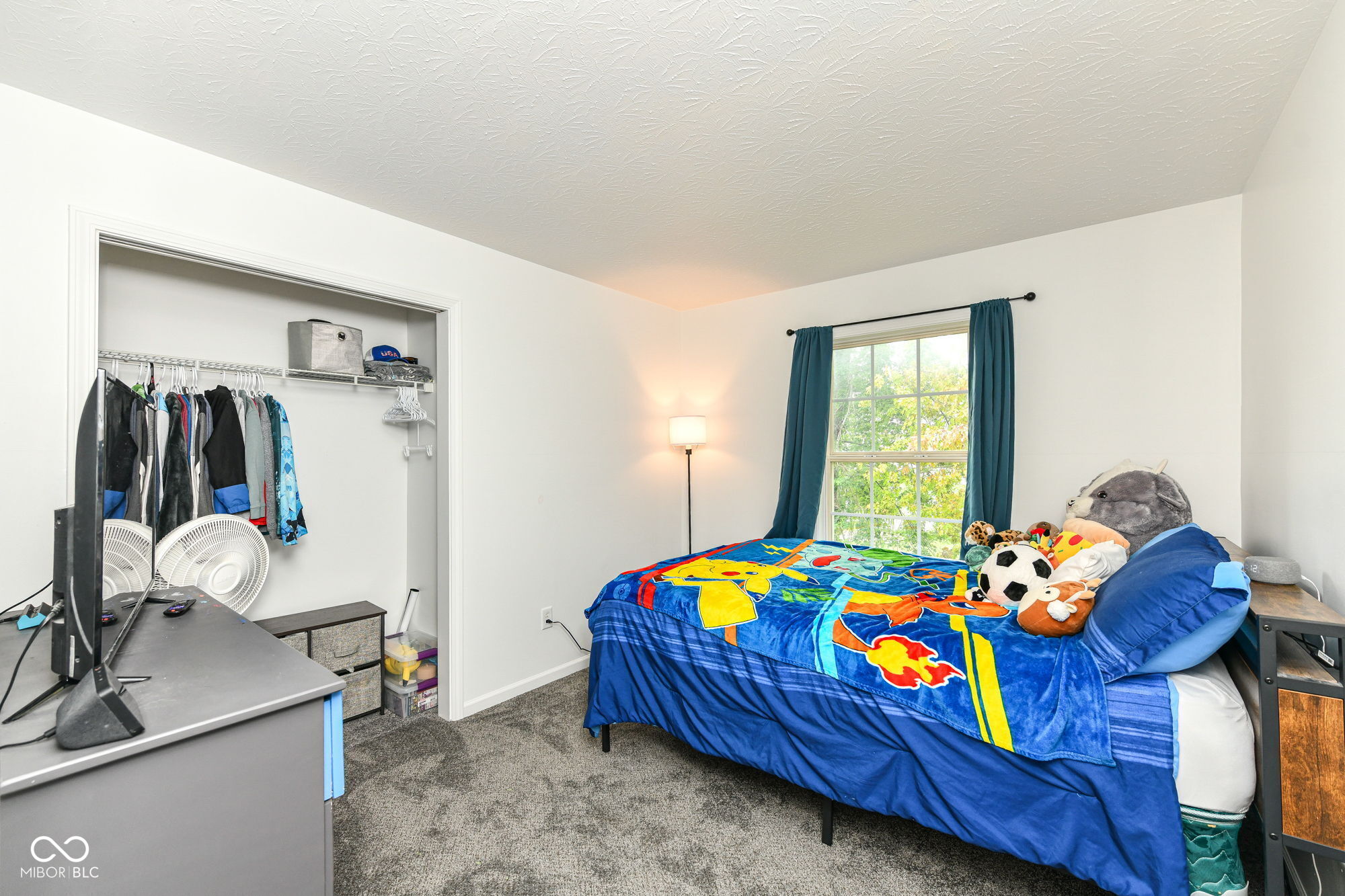 10043 Sanger Drive