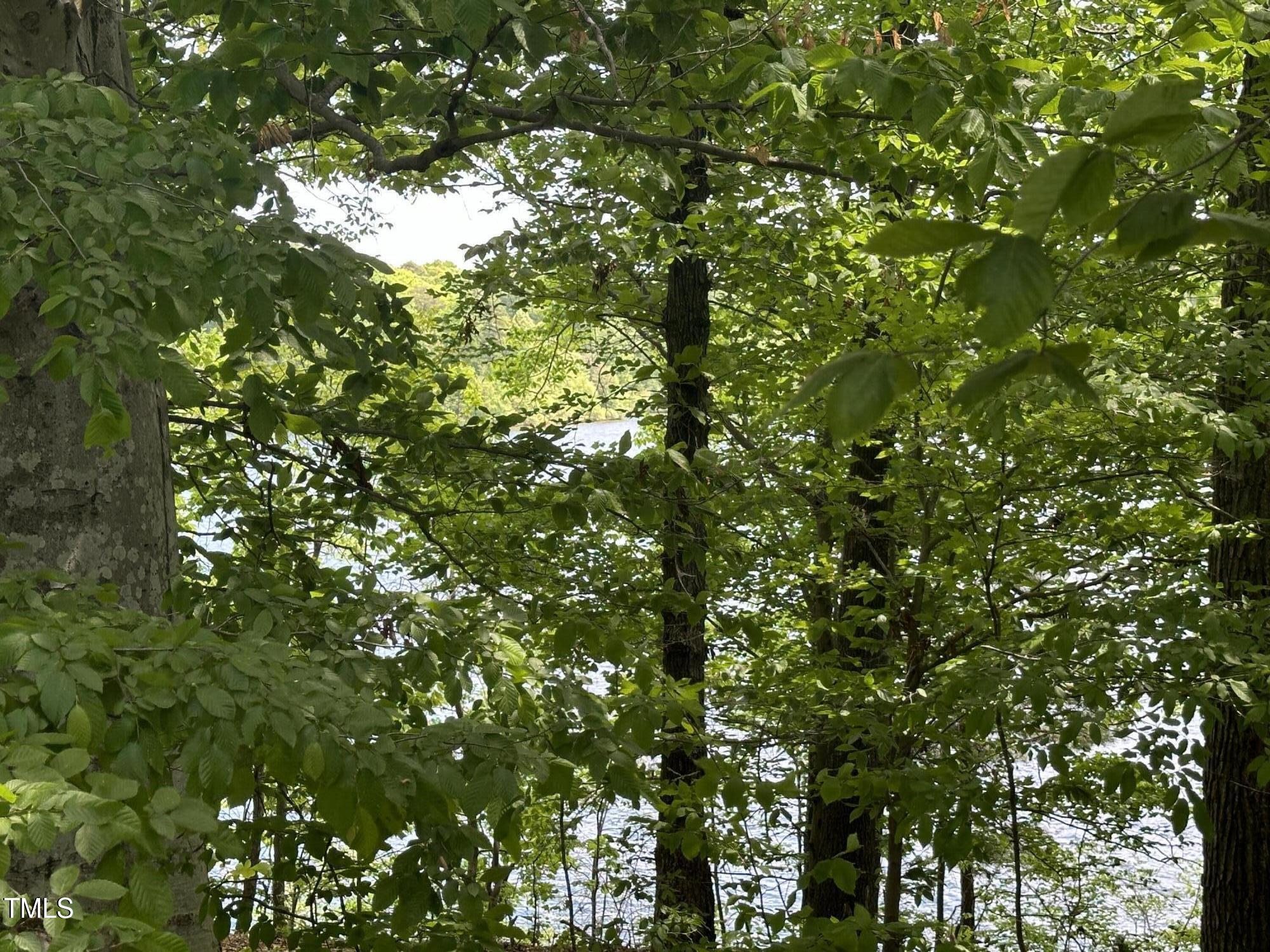 2011 Bowmantown Road