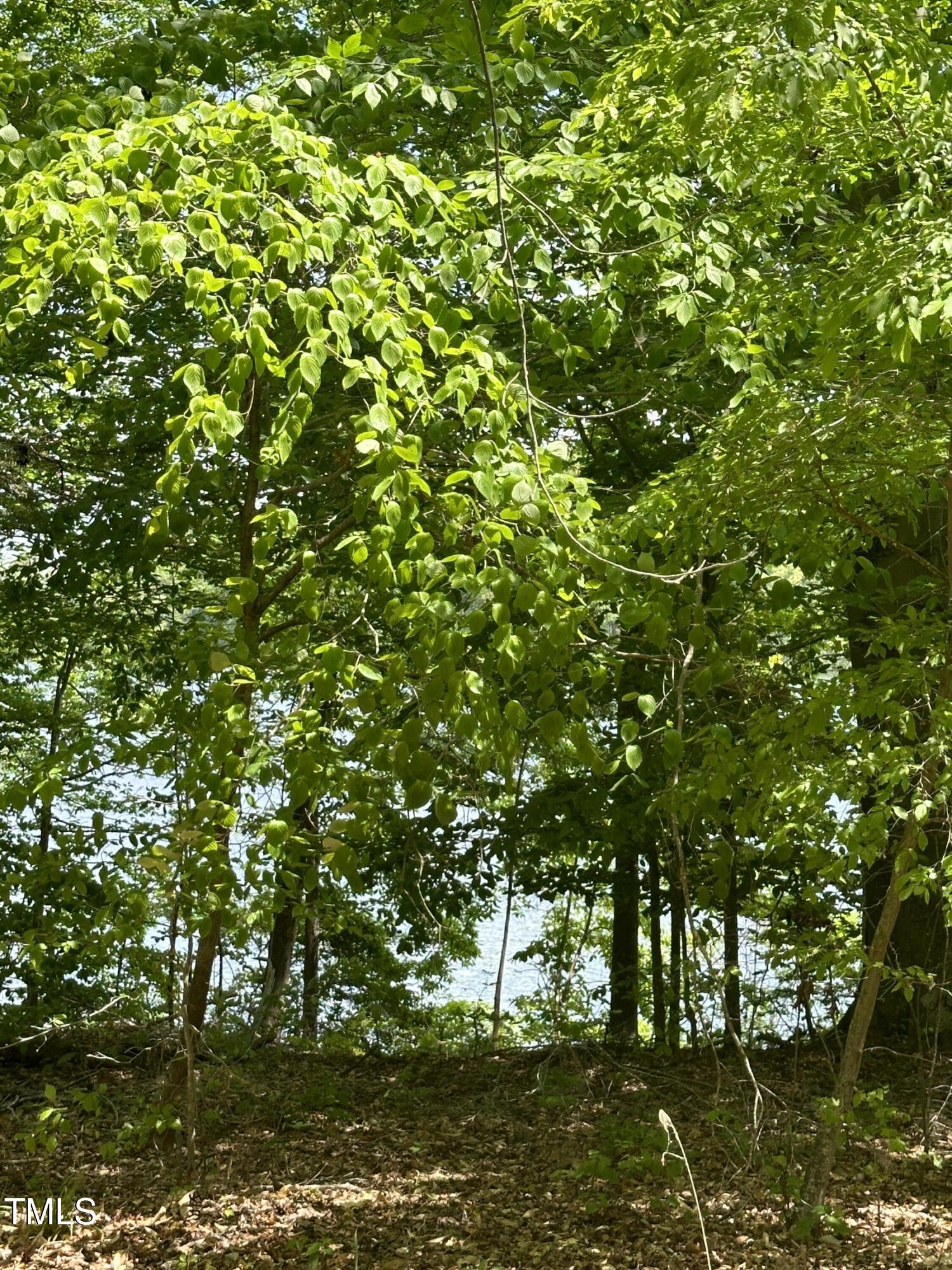 2011 Bowmantown Road