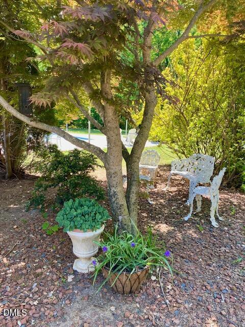 534 Dink Ashley Road