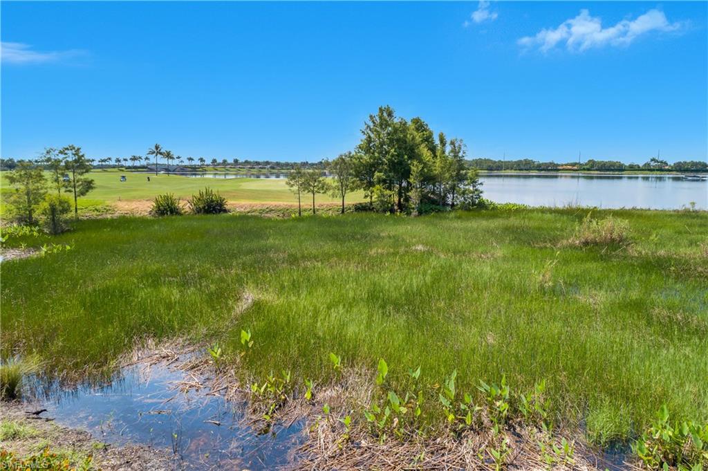 10026 Siesta Bay DR # 9113
