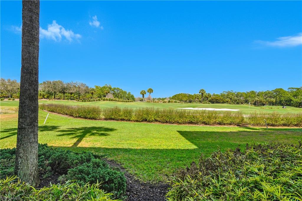 Golf course with a sand bunker, trimmed fairway, and palm tree in the foreground.