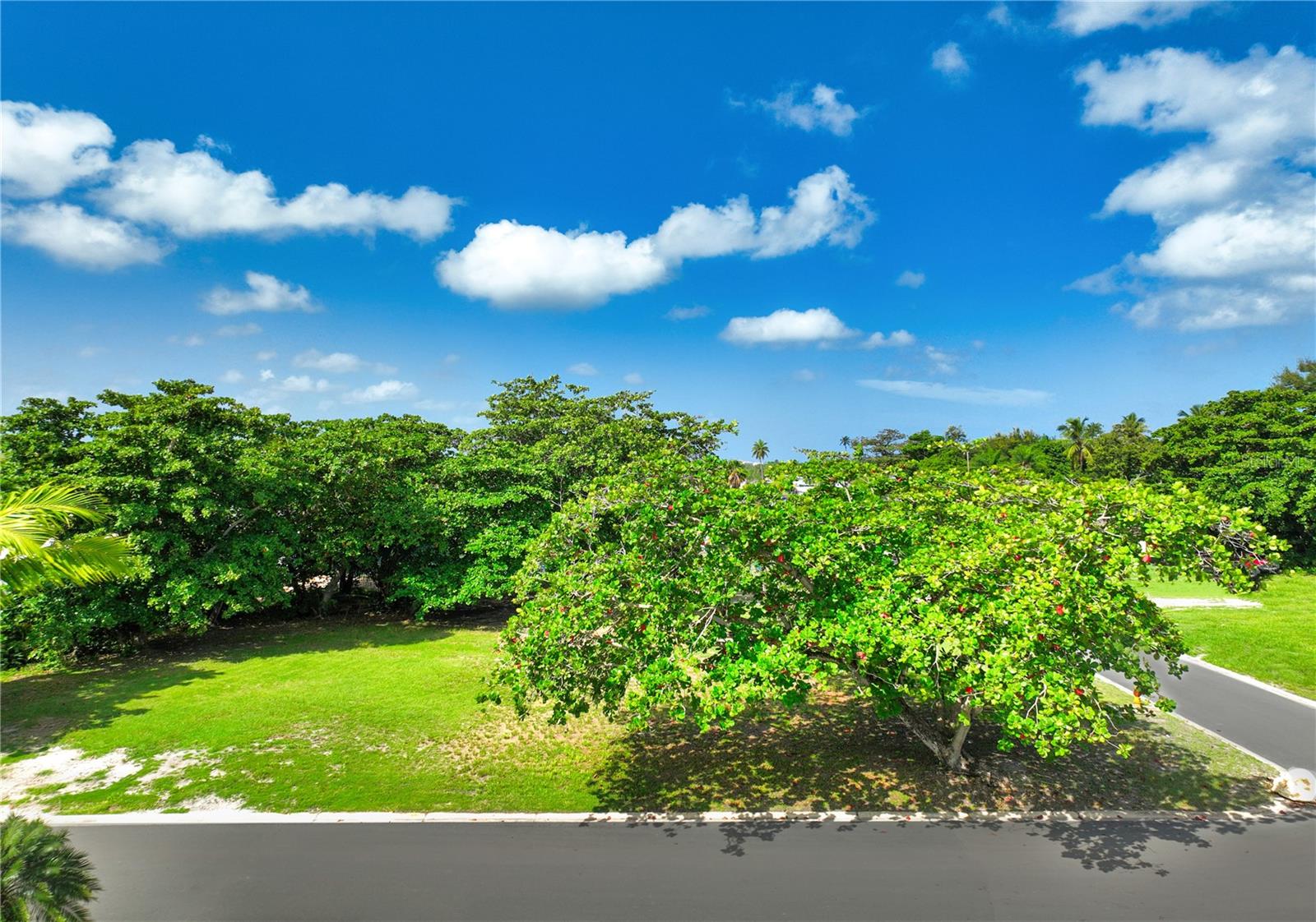 Lot 44 DORADO COUNTRY ESTATES