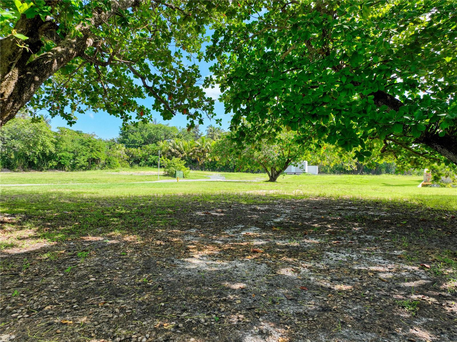 Lot 44 DORADO COUNTRY ESTATES