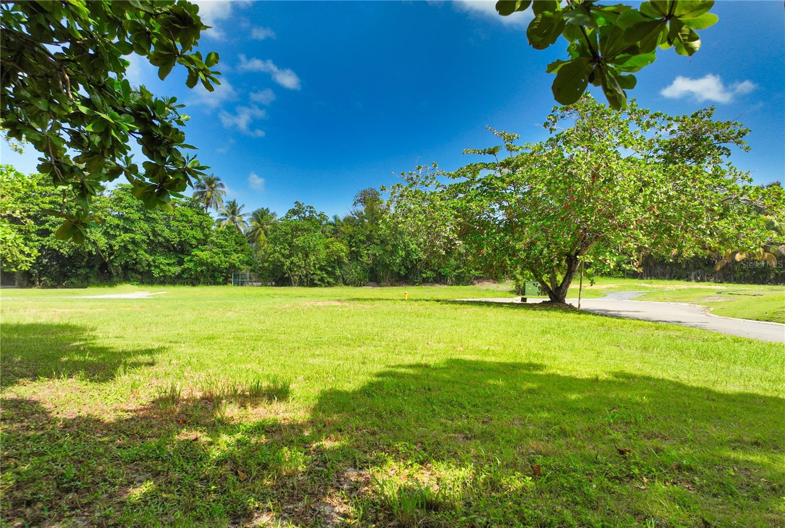 Lot 44 DORADO COUNTRY ESTATES