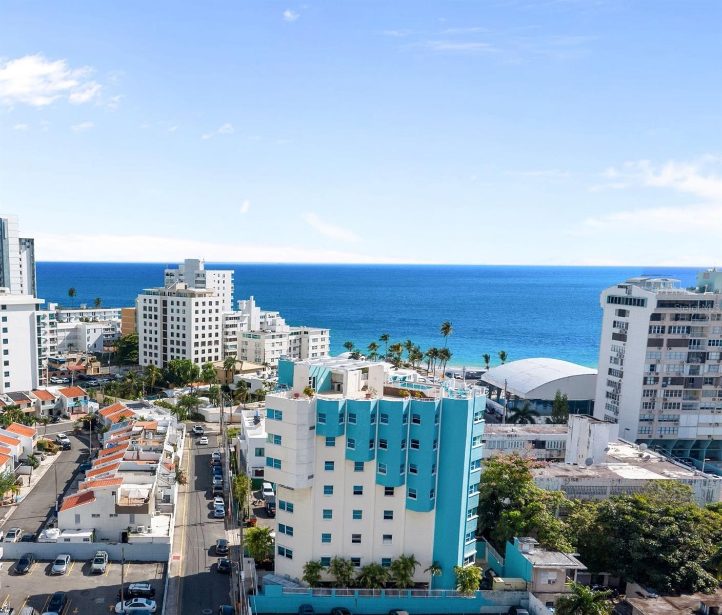 10 Rosa ISLA VERDE #PH-5