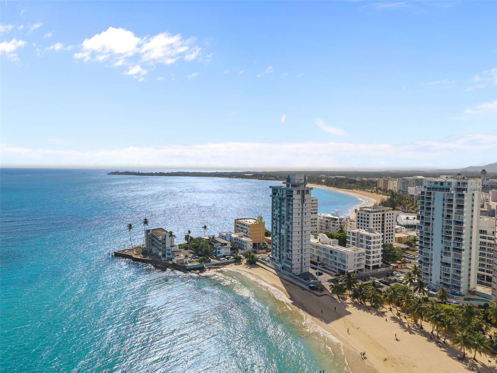 10 Rosa ISLA VERDE #PH-5
