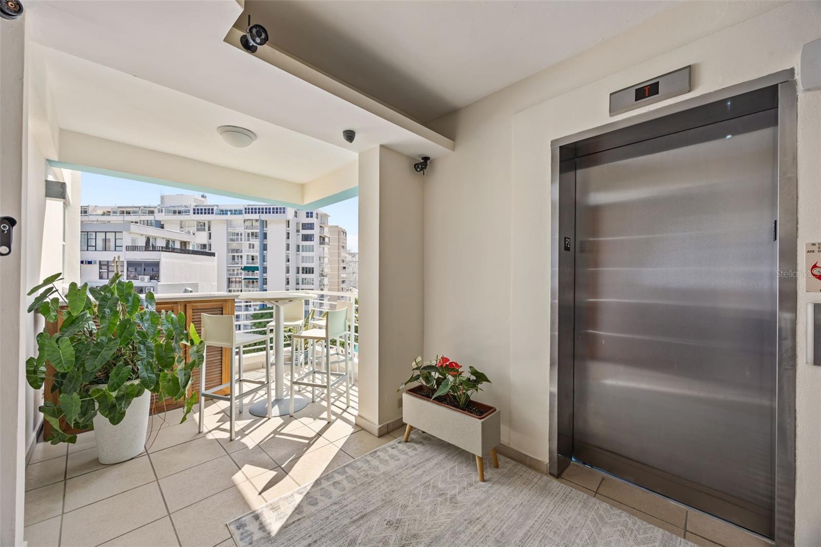 10 Rosa ISLA VERDE #PH-5