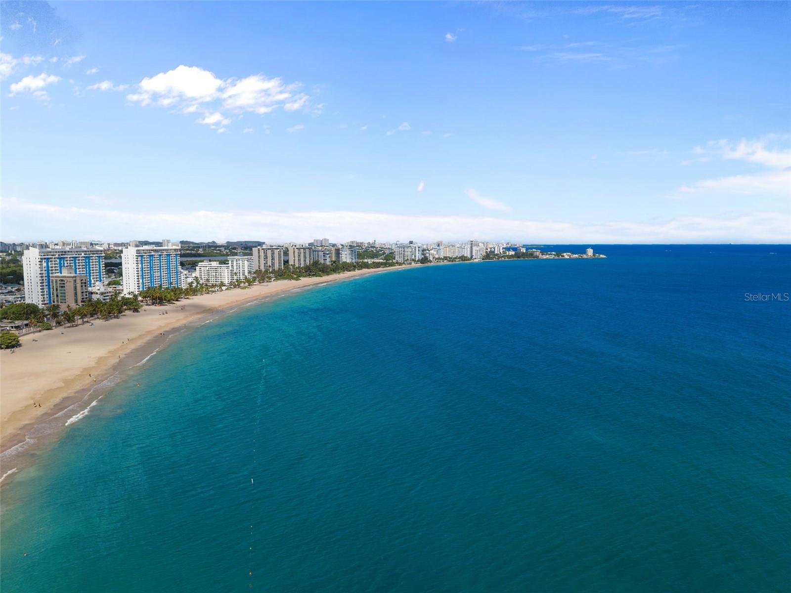 10 Rosa ISLA VERDE #PH-5