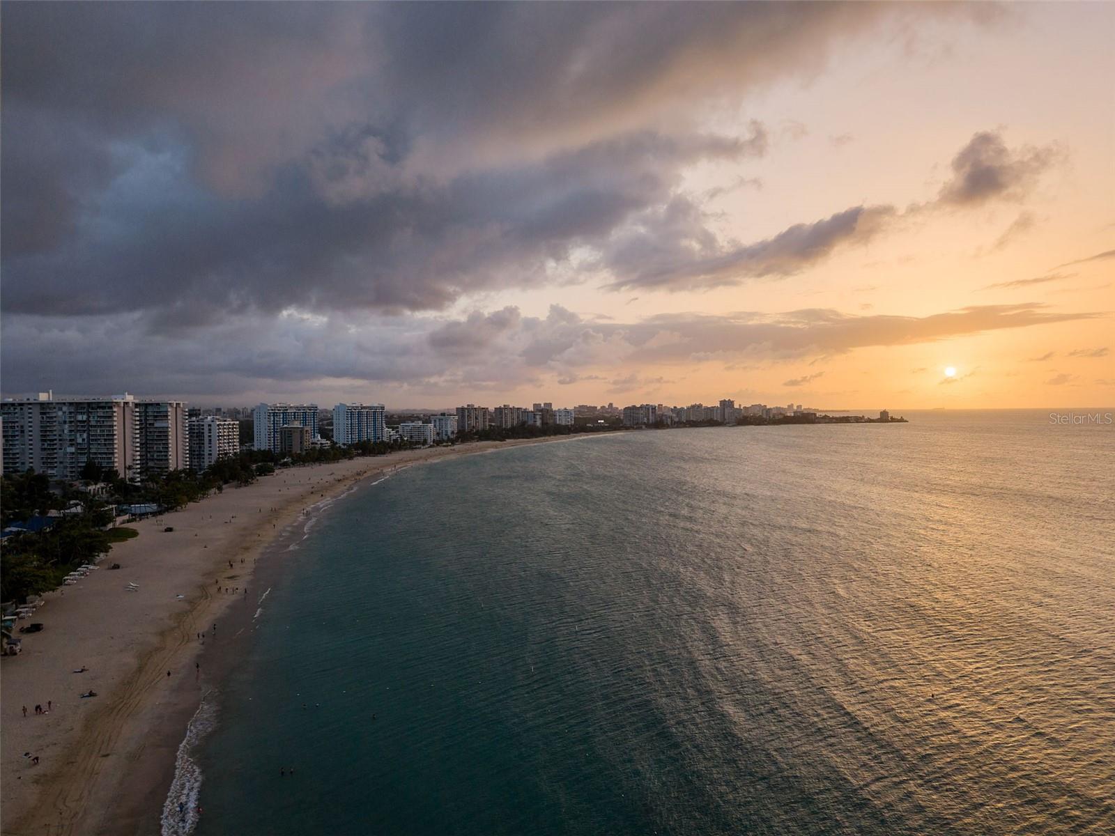 10 Rosa ISLA VERDE #PH-5