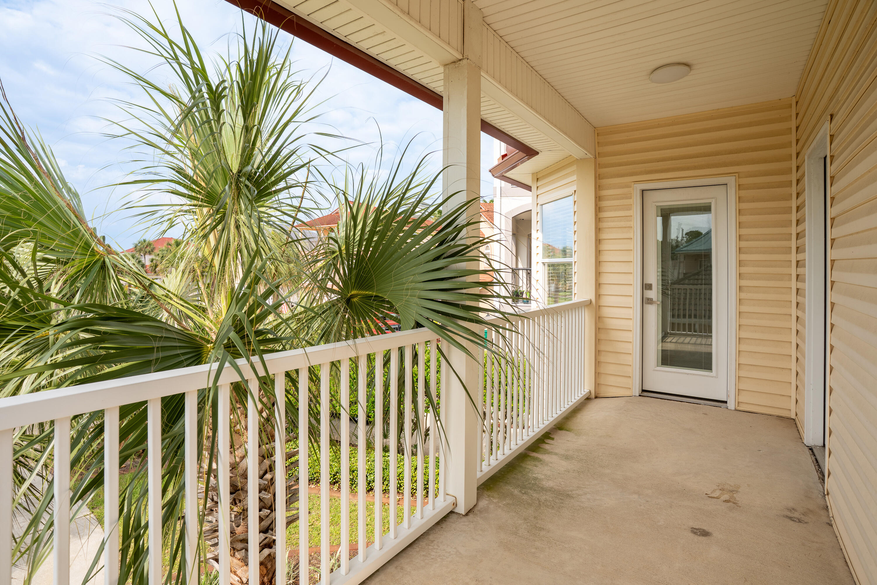 2388 Palm Harbor Drive