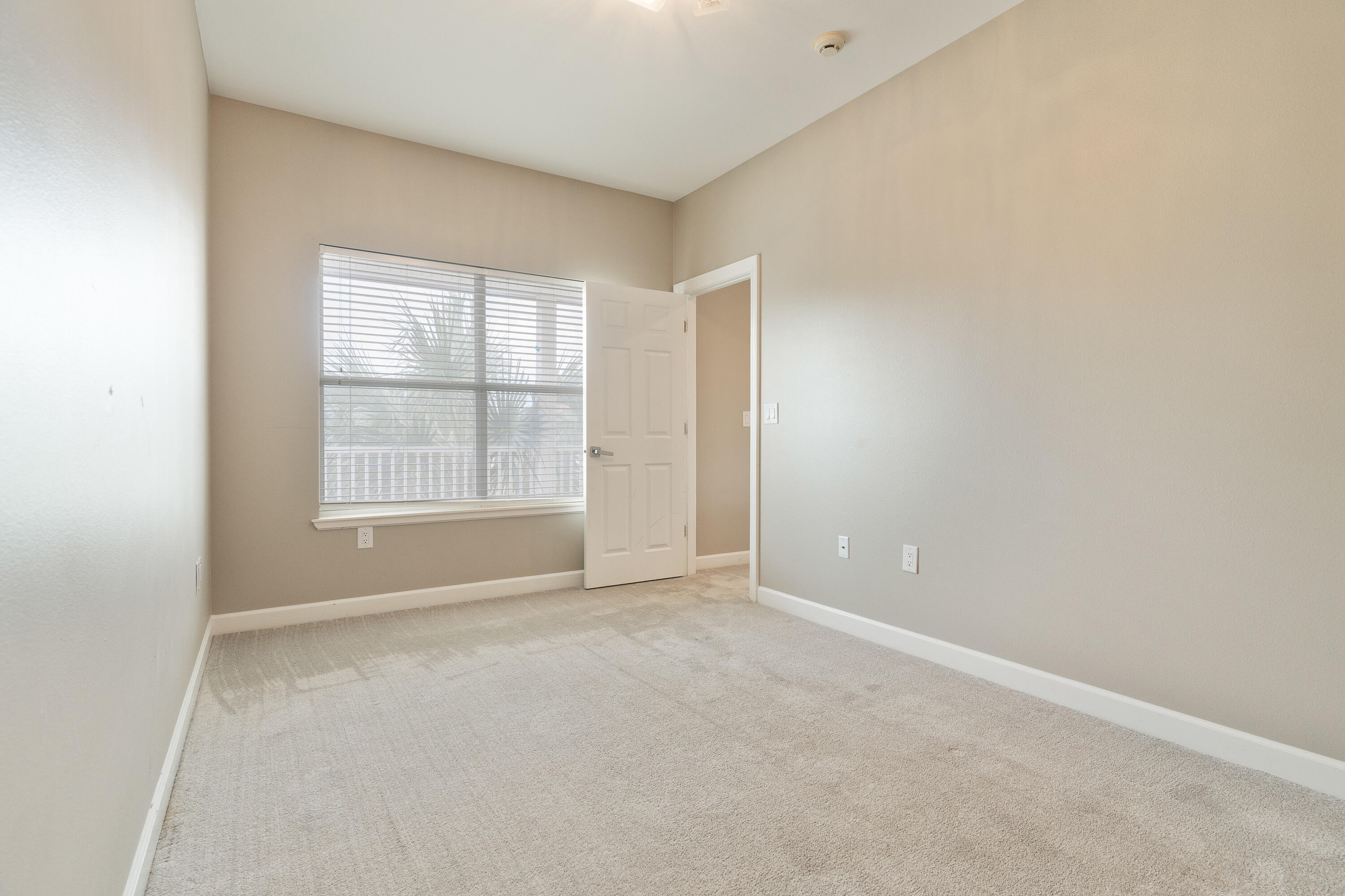 2388 Palm Harbor Drive