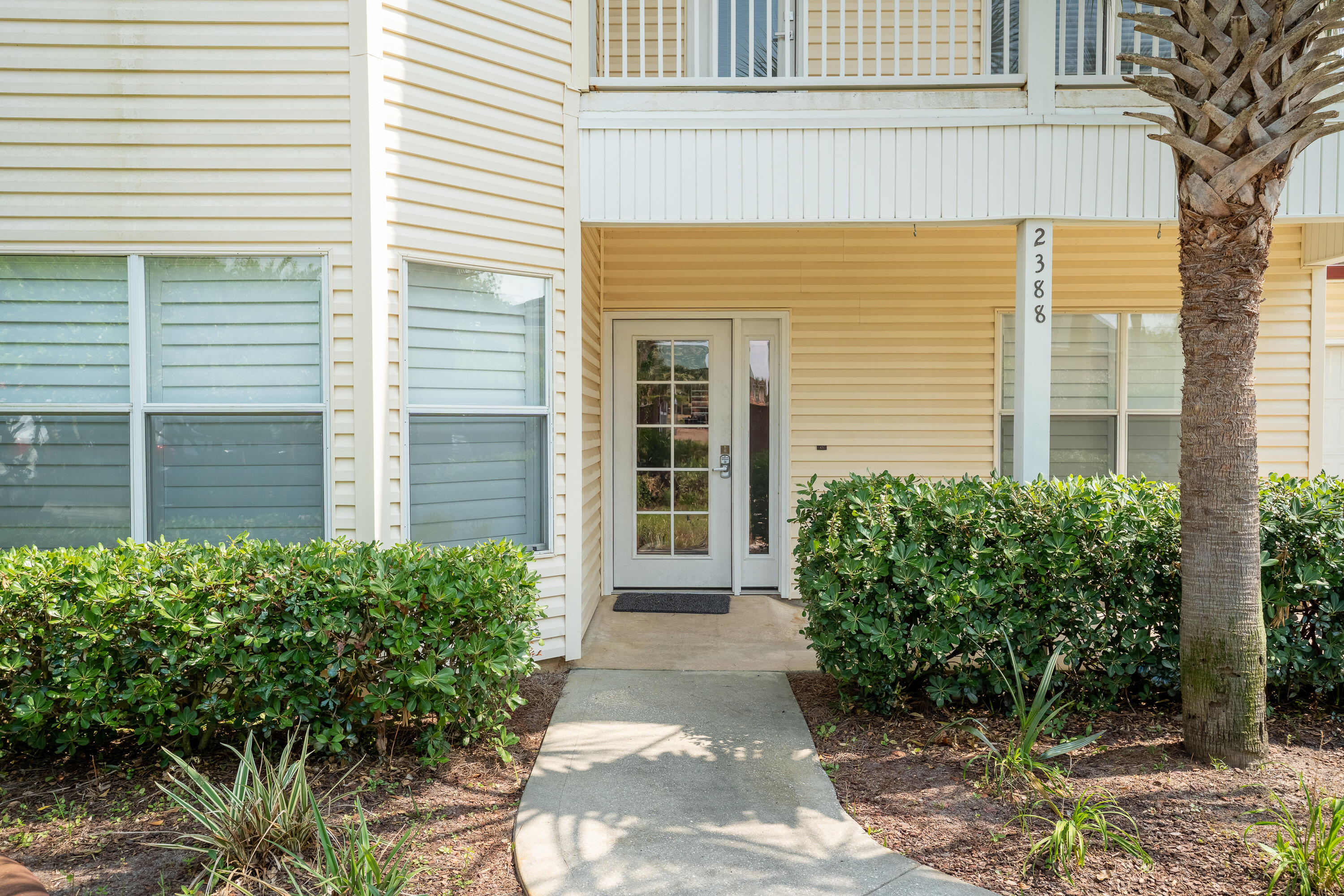 2388 Palm Harbor Drive