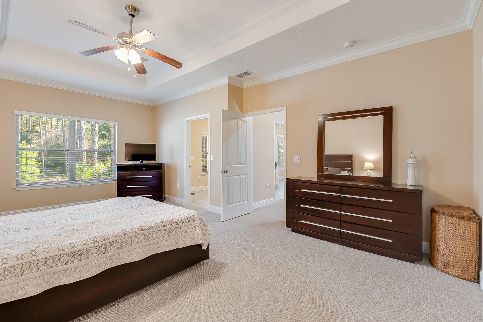 316 Cocobolo Drive