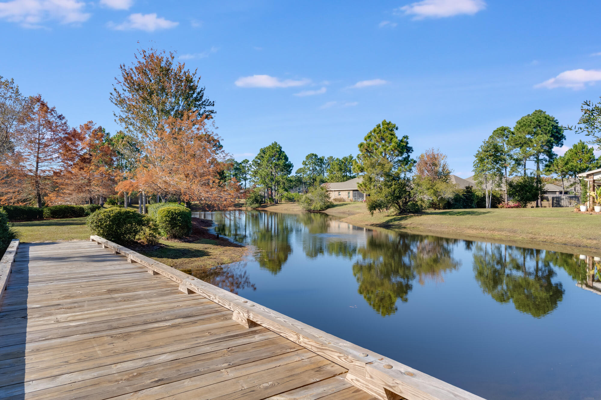 316 Cocobolo Drive